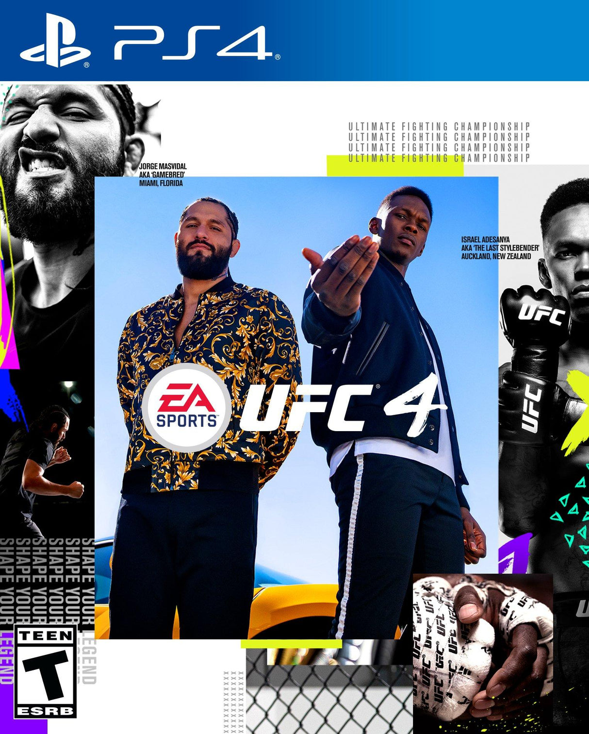 UFC 4 - (LS) (Playstation 4)